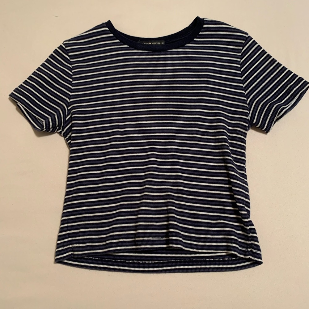 Brandy Melville Cropped T-Shirt